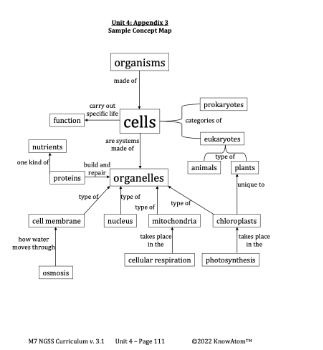 Cell Structure Function 7th Grade Life Science - Download Stunning Minimal Image | HD